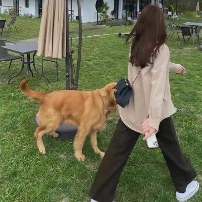 生命的绿色