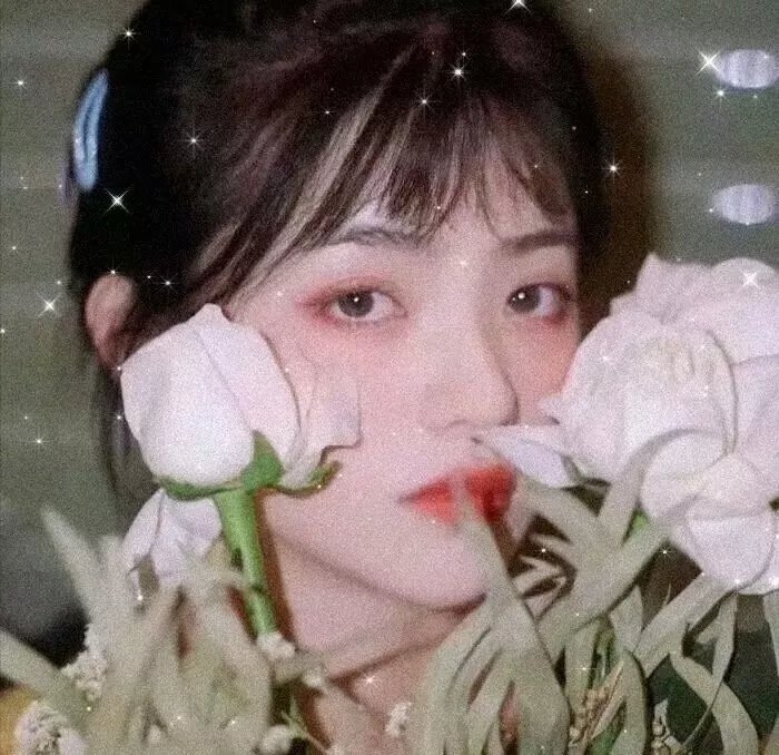 神力女超人:血脉